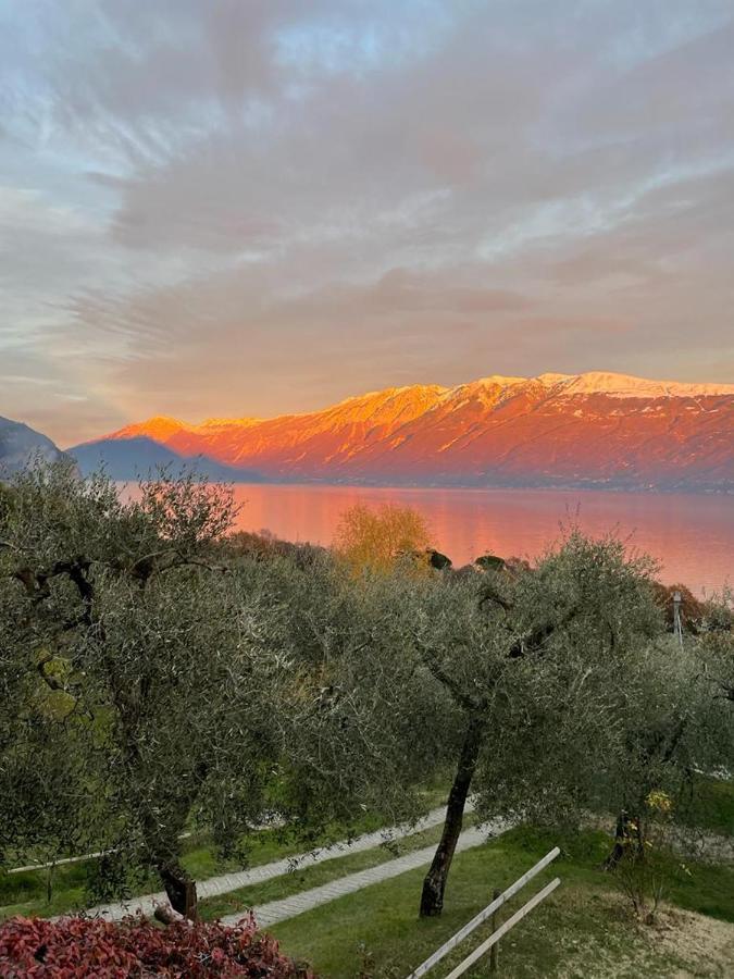 Appartamento Cristol غارنانو المظهر الخارجي الصورة